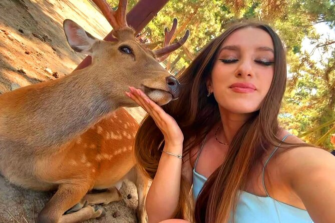 Kyoto and Nara Day Tour From Osaka with Deer Sightings - Nara Park: the deer moment you will remember
