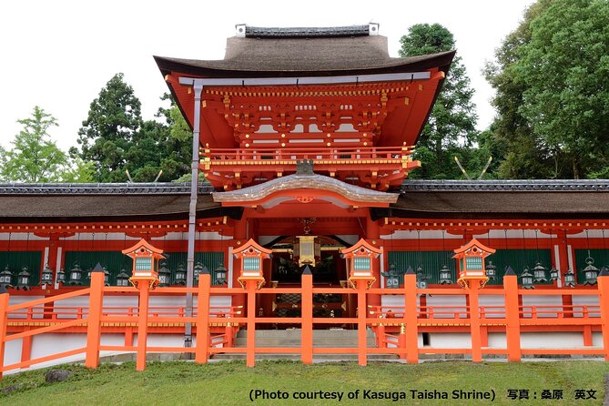 Kyoto and Nara Day Trip from Osaka - Nijo Castle in 50 minutes: Tokugawa design meets your schedule
