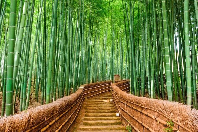 Kyoto Customized Private Car Tour - Key Points If You Want Kyoto Without the Hassle