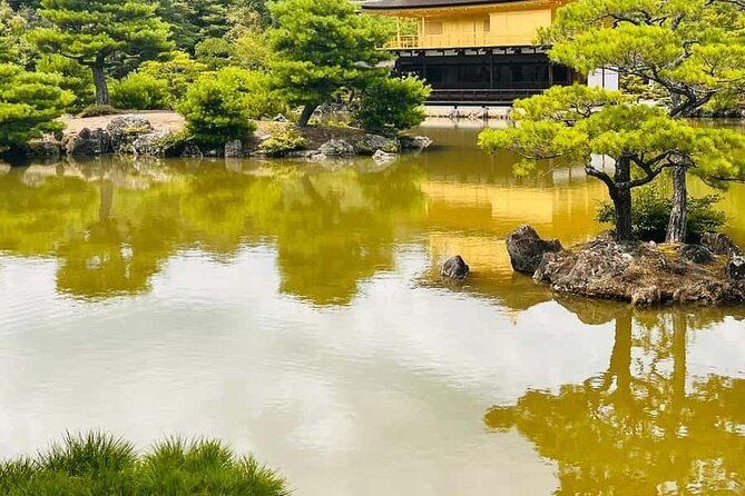 Kyoto Customized Private Car Tour - Arashiyama Bamboo Grove: A Calm Break from the City
