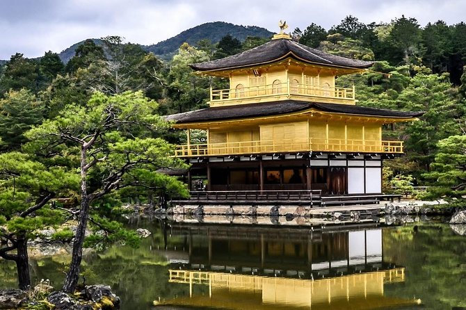 Kyoto Day Trip from Osaka Port – Private Shore Excursion - Key things I’d plan around before you go