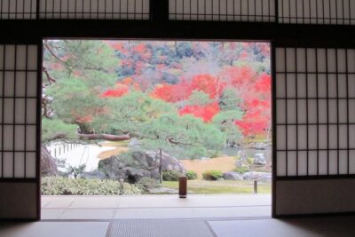 Kyoto Highlights: Arashiyama & Fushimi Inari by Private Car