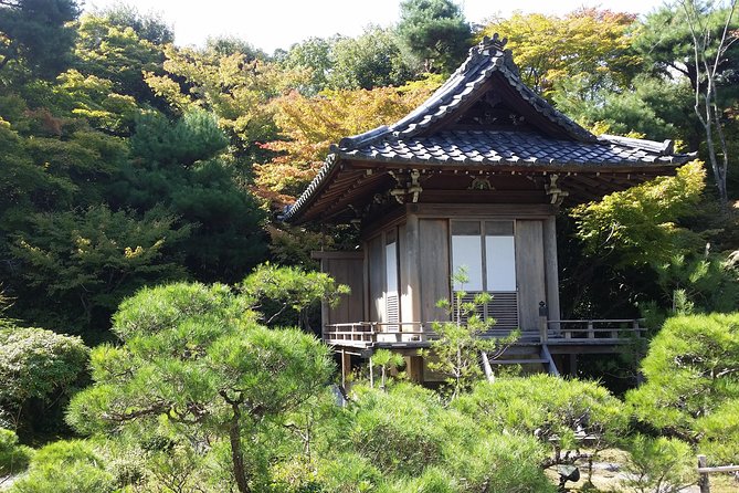 Kyoto Highlights: Arashiyama & Fushimi Inari by Private Car - Fushimi Inari: walking the torii trail at your group’s pace