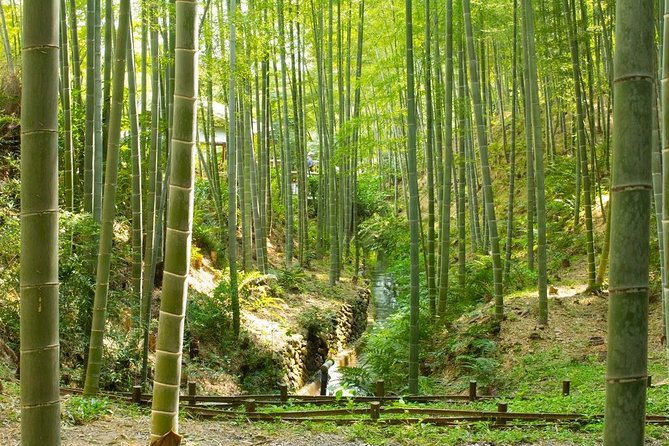 Kyoto Highlights: Arashiyama & Fushimi Inari by Private Car - Price and extras: when $675 per group feels fair, and when it does not