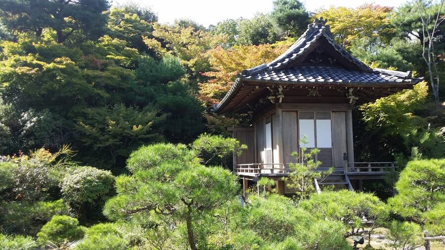 Kyoto: Immersive Arashiyama & Fushimi Inari by Private Car - Why this private Kyoto day feels easier than DIY