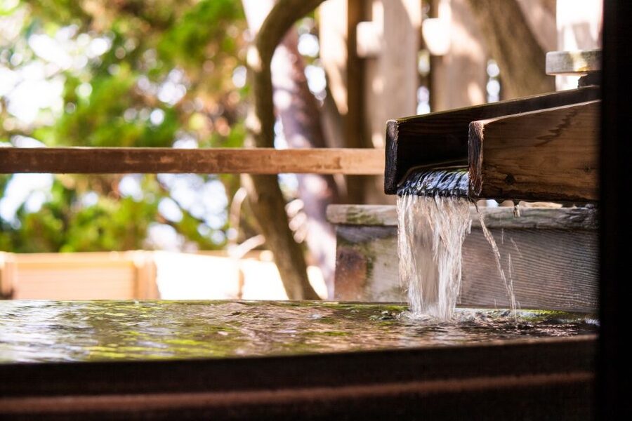 Kyoto: Immersive Arashiyama & Fushimi Inari by Private Car - Fushimi Inari-taisha torii gates: the walk, the views, and photo timing