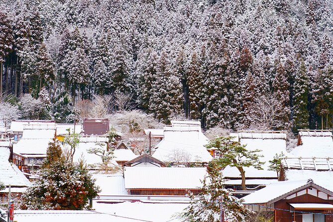 Kyoto Ine Bay, Amanohashidate and Miyama Village Tour From Osaka - Time, Transport, and Group Size: How the Day Feels on the Ground