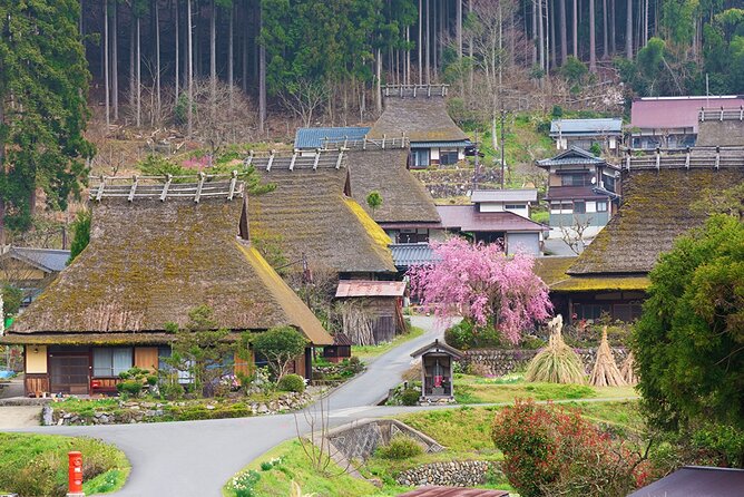 Kyoto Ine Bay, Amanohashidate and Miyama Village Tour From Osaka - Should You Book This Kyoto Ine Bay, Amanohashidate, and Miyama Tour?