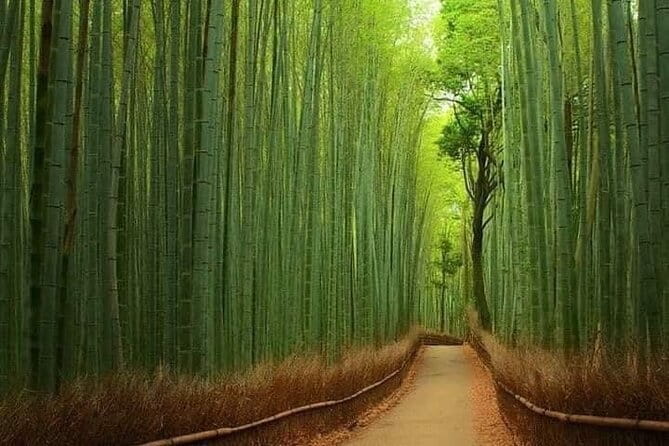 Kyoto & Nara Private customized tour with English speaking Guide - Starting point in Osaka, and what to expect from the ride