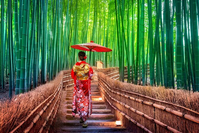 Kyoto & Nara Private Day Tour - Price and logistics, the math that matters