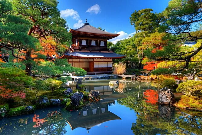 Kyoto & Nara Private Day Tour - What a private driver really means in Kyoto and Nara
