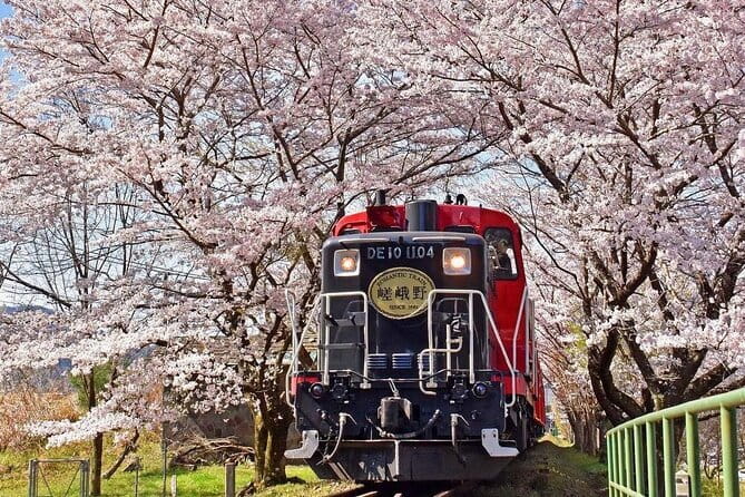 Kyoto & Nara & Uji: Full Day Sightseeing Tour from Osaka or Kyoto - Tour pace, group size, and what it feels like on the bus