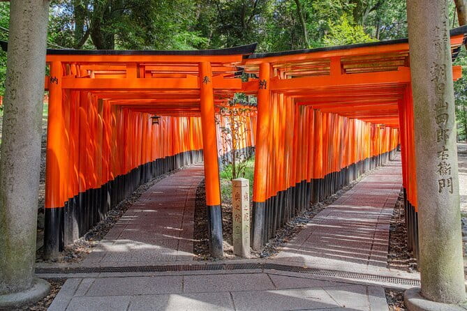 Kyoto One Day Sightseeing Tour from Osaka or Kyoto - A one-day Kyoto hits list, run like a schedule