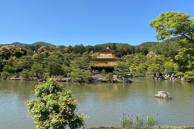 Kyoto Private Car Tour from Osaka to Gion and Fushimi - Stop 5, Kiyomizu-dera and the wooden stage views