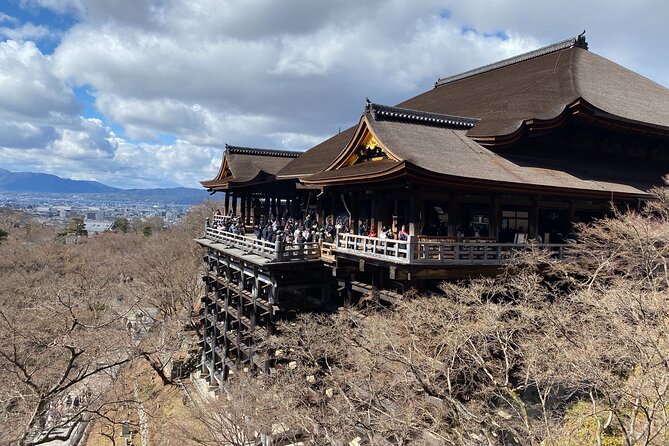 Kyoto Private Car Tour from Osaka to Gion and Fushimi - Getting oriented: the 9:00 am start and mobile ticket comfort