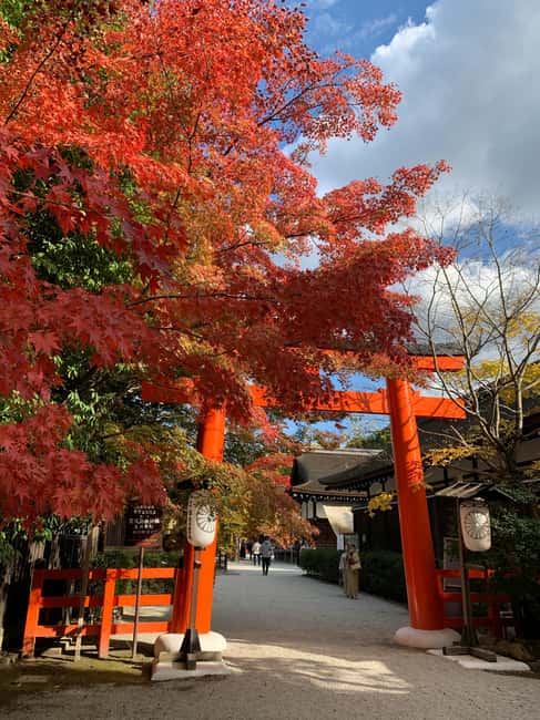 Kyoto Private Highlights Customized Tour with English Guide - Arashiyama Bamboo Forest, a calm first act