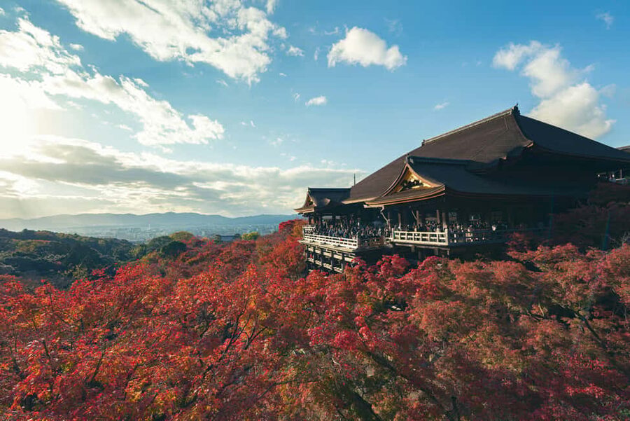 Kyoto Private Highlights Customized Tour with English Guide - Pickup, drop-off, and why the starting point matters