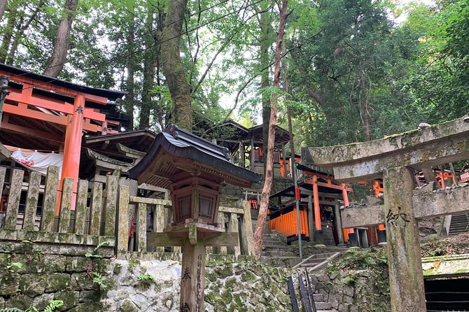 Kyoto private tour (Shore excursion available from Osaka or Kobe port) - Why this Kyoto shore day works from Osaka or Kobe
