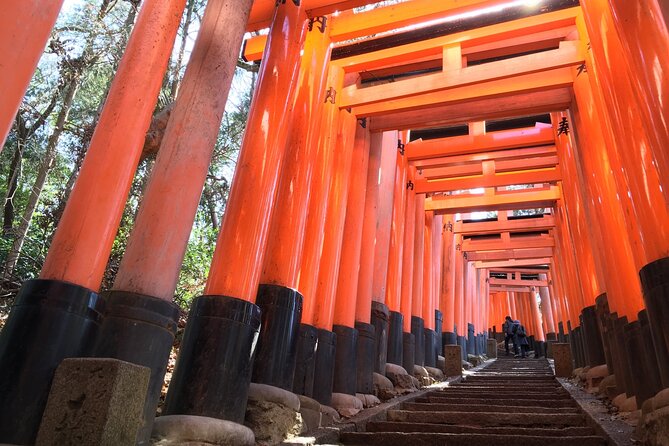 Kyoto Private Tour with National Licensed Guide from Osaka - Nijo Castle: Tokugawa-Era Power in Wood and Walls