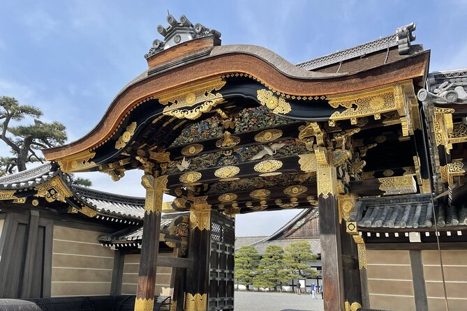 Kyoto Private Tour with National Licensed Guide from Osaka - What Makes This Tour Feel Private, Not Just Hosted
