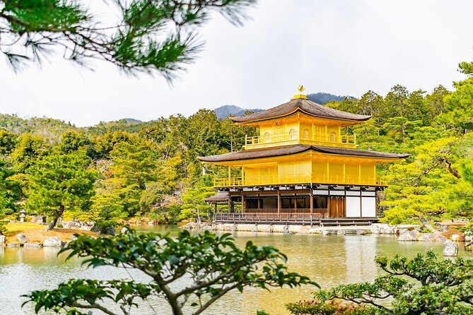 Kyoto Private Tour with National Licensed Guide from Osaka - Shin-Osaka Station to Kyoto Station by Bullet Train