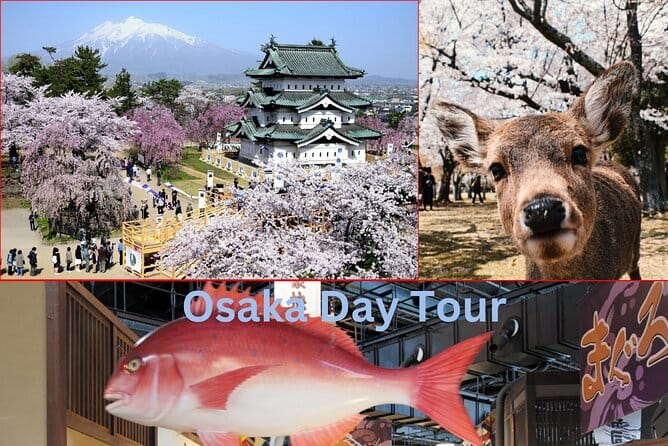 Kyoto Shore Excursion from Osaka with Japanese Guide - Nishiki Market: 390 meters where Kyoto food logic makes sense