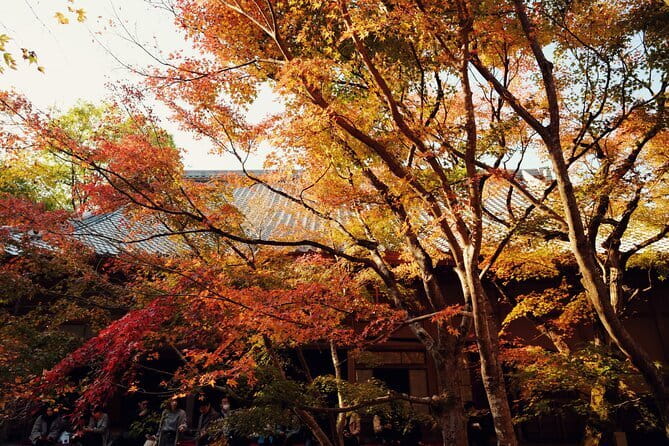 Luxury Classic Kyoto Day Tour - Private Customized Car Tour - Yasaka Shrine: Gion Matsuri energy on the east-side of Kyoto