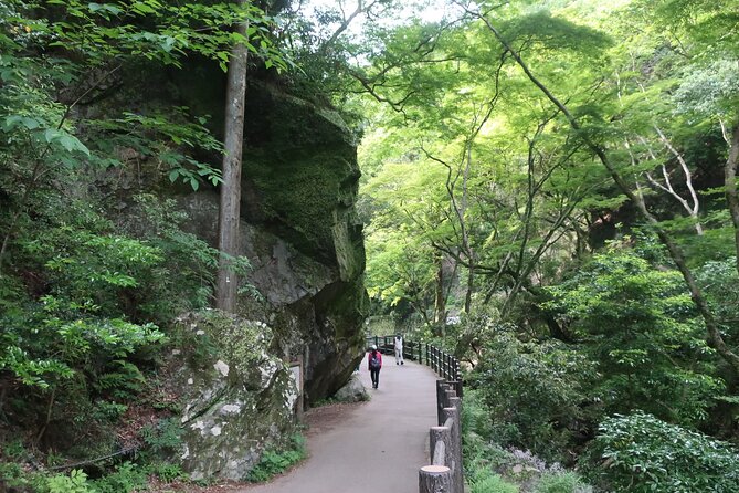 Minoh Waterfall and nature walk through the Minoh Park - Price and Value: What $138.37 Really Buys