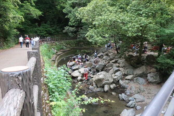 Minoh Waterfall and nature walk through the Minoh Park - Ryuanji Temple: Mountain Worship Roots Near the Trail