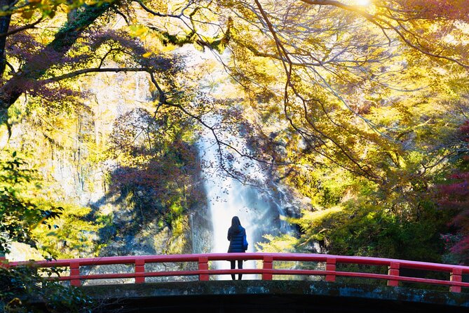 Minoo Park Adventure: Nature, Temples, and Coffee Bliss - Yamamoto Coffee-kan: Local Coffee and Snacks to Close the Day