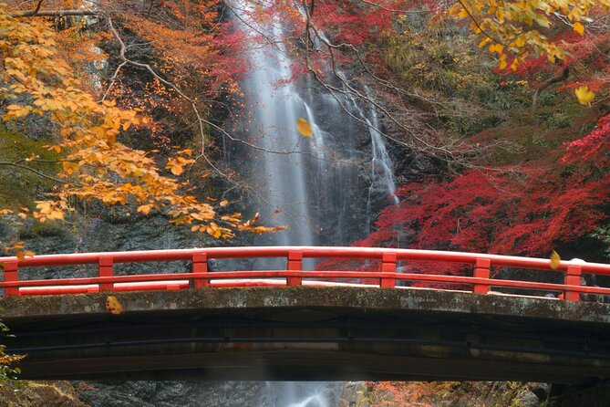 Minoo Park Adventure: Nature, Temples, and Coffee Bliss - Price and Value for a Private 4-Hour Tour
