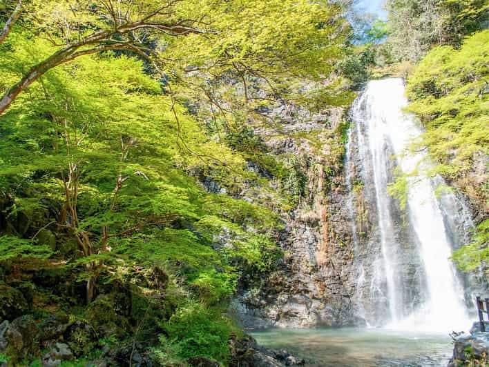 Minoo Park: Guided Nature Walk - First Steps at Minoo Station: how the half-day tour plays out