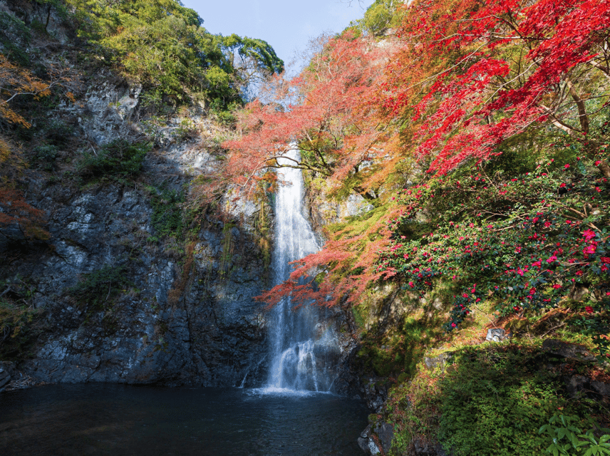 Minoo Park: Guided Nature Walk - Hideyo Noguchi, training fields, and Tojin-modoriiwa stones