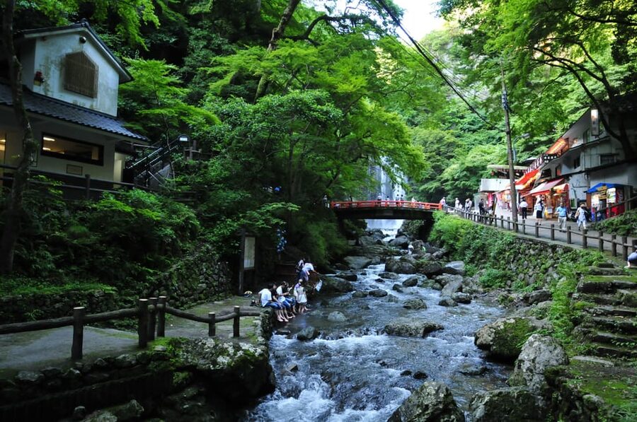 Minoo Park: Guided Nature Walk - Minoo Waterfall: your up-close moment with sound and wind