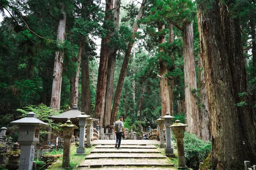 Mount Koya from Osaka: Cultural Small Group Day Tour - Key things you’ll notice on this Mount Koya from Osaka tour