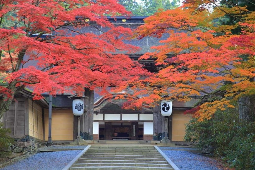 Mount Koya from Osaka: Cultural Small Group Day Tour - Shojin Ryori lunch: simple food with Buddhist values baked in