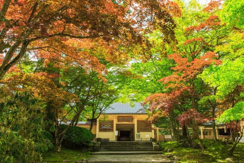 Mount Koya from Osaka: Cultural Small Group Day Tour - Kongobuji Temple: head temple for Shingon, plus fusuma and Banryutei