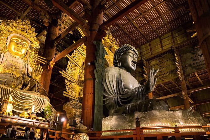 Nara 8hr Private Tour - Osaka DEP. with Licensed Guide - Key things that make this Nara day work