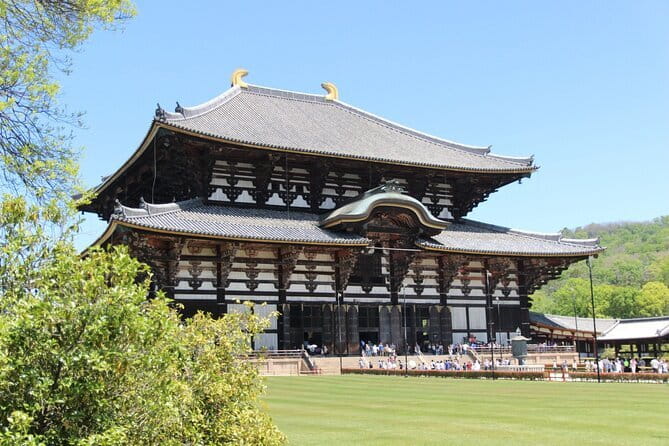 Nara Day Trip from Osaka with a Licensed Guide - A private Nara day from Osaka, with hotel pickup and a timed plan