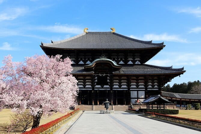 Nara Day Trip from Osaka with a Licensed Guide - Kasuga Grand Shrine for a slower Shinto experience