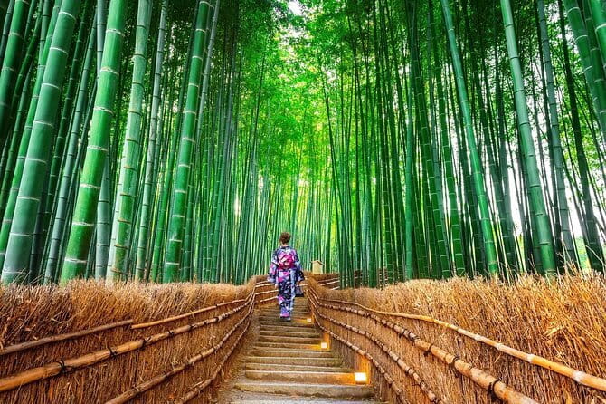 Nara Day Trip from Osaka with a Licensed Guide - Isuien Garden and shakkei, borrowed scenery made visible