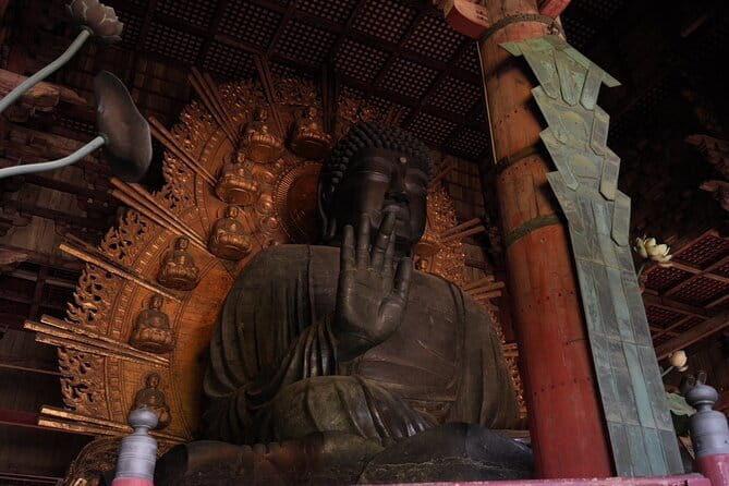 Nara Early Morning Tour (Osaka Departure Option) - Meeting point: start at Osaka Tourist Information Center