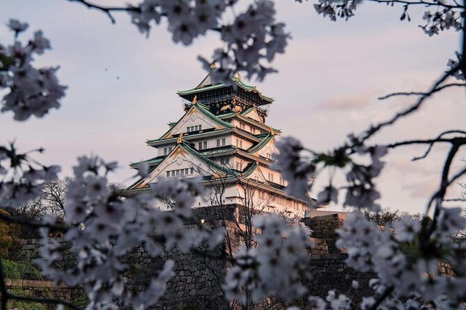 Nara Early Morning Tour (Osaka Departure Option) - Todaiji Temple and the Great Buddha: the big payoff stop