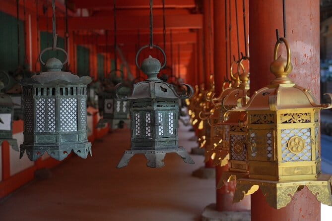Nara Early Morning Tour (Osaka Departure Option) - The walking reality: about 10,000 steps and your energy plan
