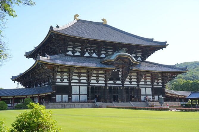 Nara Early Morning Tour (Osaka Departure Option) - Osaka to Nara logistics, without a private vehicle
