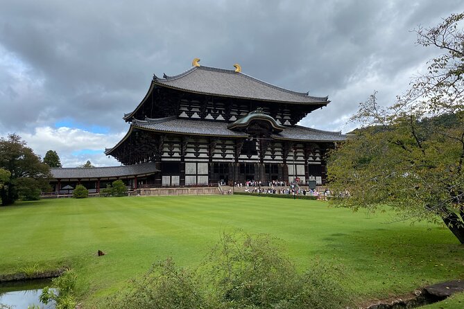 Nara Highlights Guided Tour by Private Car from Osaka - Nara Park first, deer encounters and a calm start