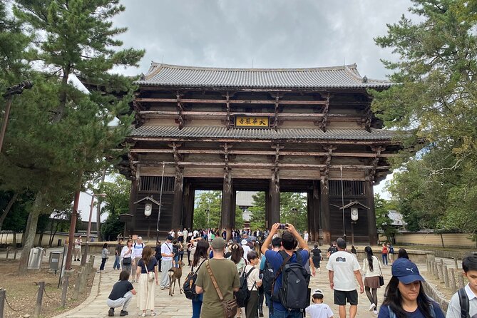 Nara Highlights Guided Tour by Private Car from Osaka - How the English speaking guide improves everything