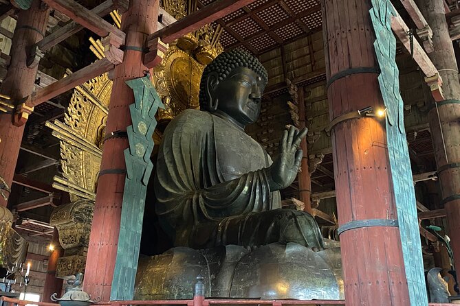 Nara Highlights Guided Tour by Private Car from Osaka - Timing, pacing, and how to handle the 7 to 8 hour day