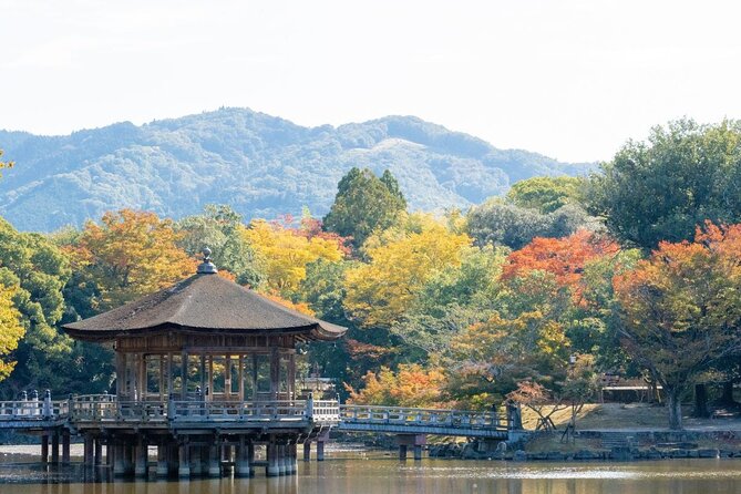 Nara : Private Day Walking Tour (From Osaka/Kyoto Possible) - Kasuga Taisha and the National Treasure Hall: Red Shrines and Art