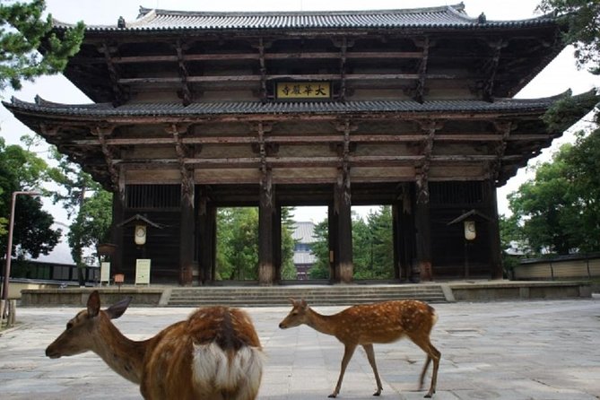 Nara Private Tour by Public Transportation from Osaka - Kasuga Grand Shrine: red beauty and the shrine-with-a-story feeling